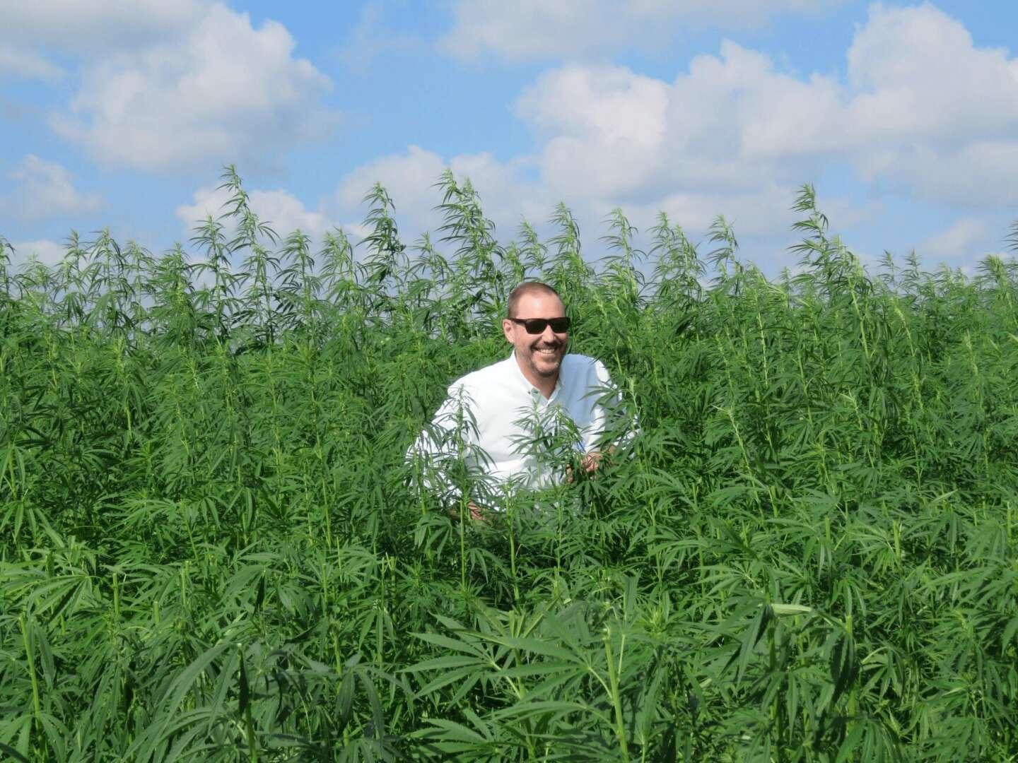 Cannabis Seed Propagation