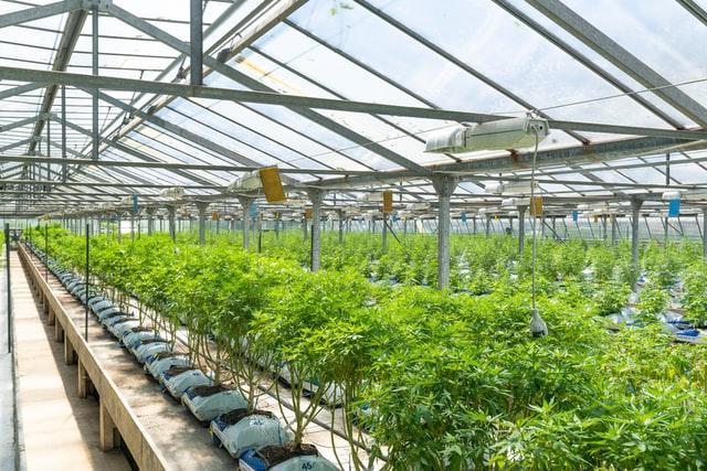 Colombian Greenhouse Facility